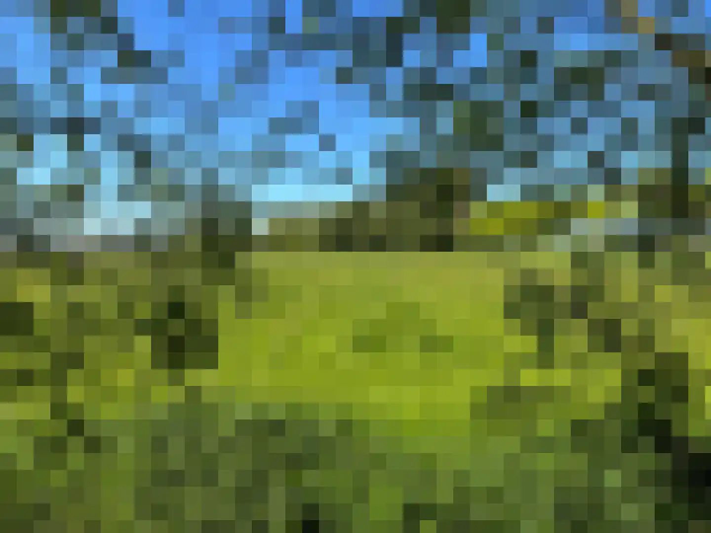 Oranjedijk 25 IJzendijke thumbnail 33