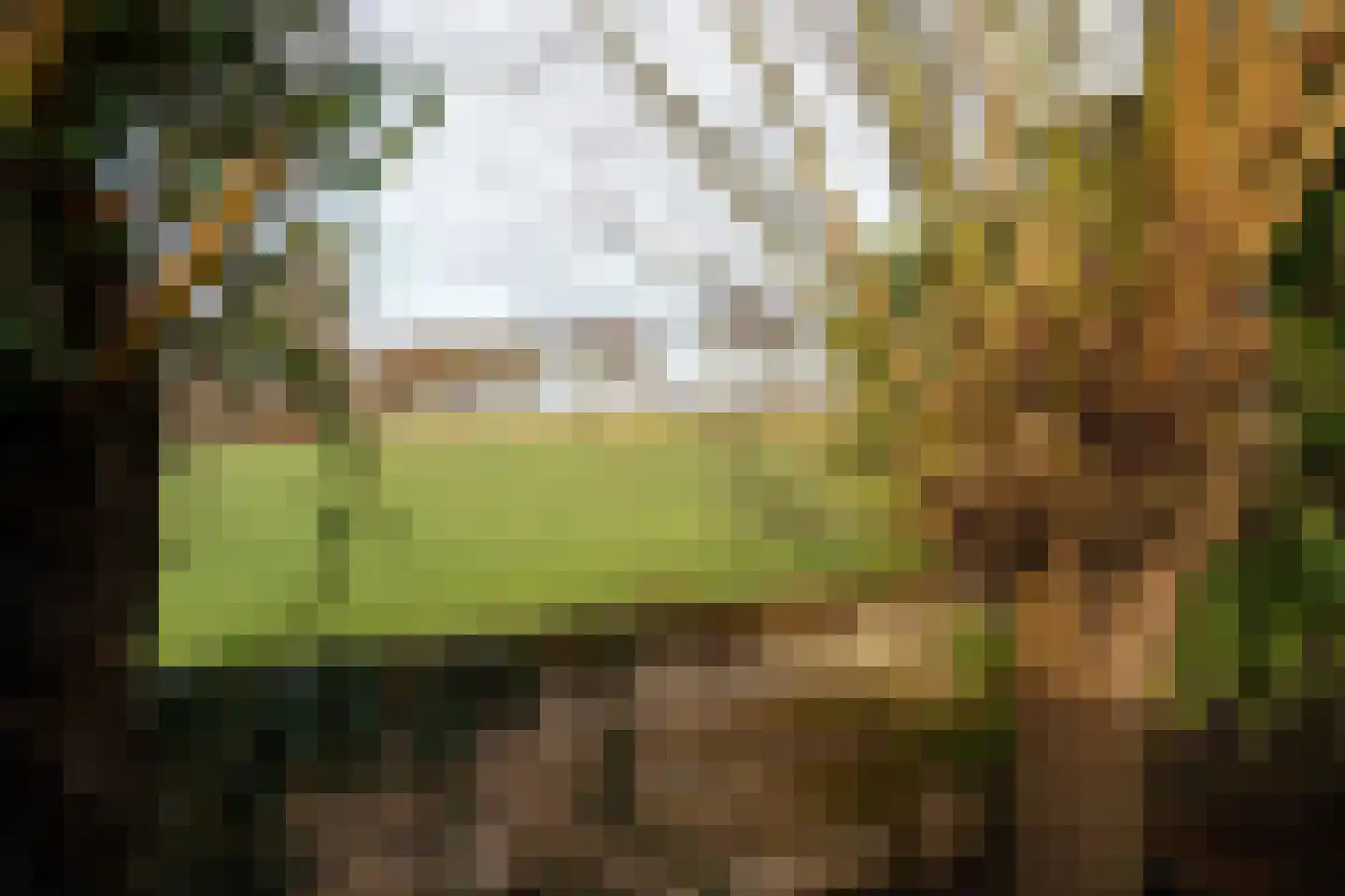Oranjedijk 25 IJzendijke thumbnail 33