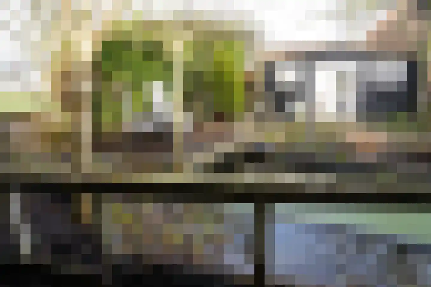 Oranjedijk 25 IJzendijke thumbnail 34
