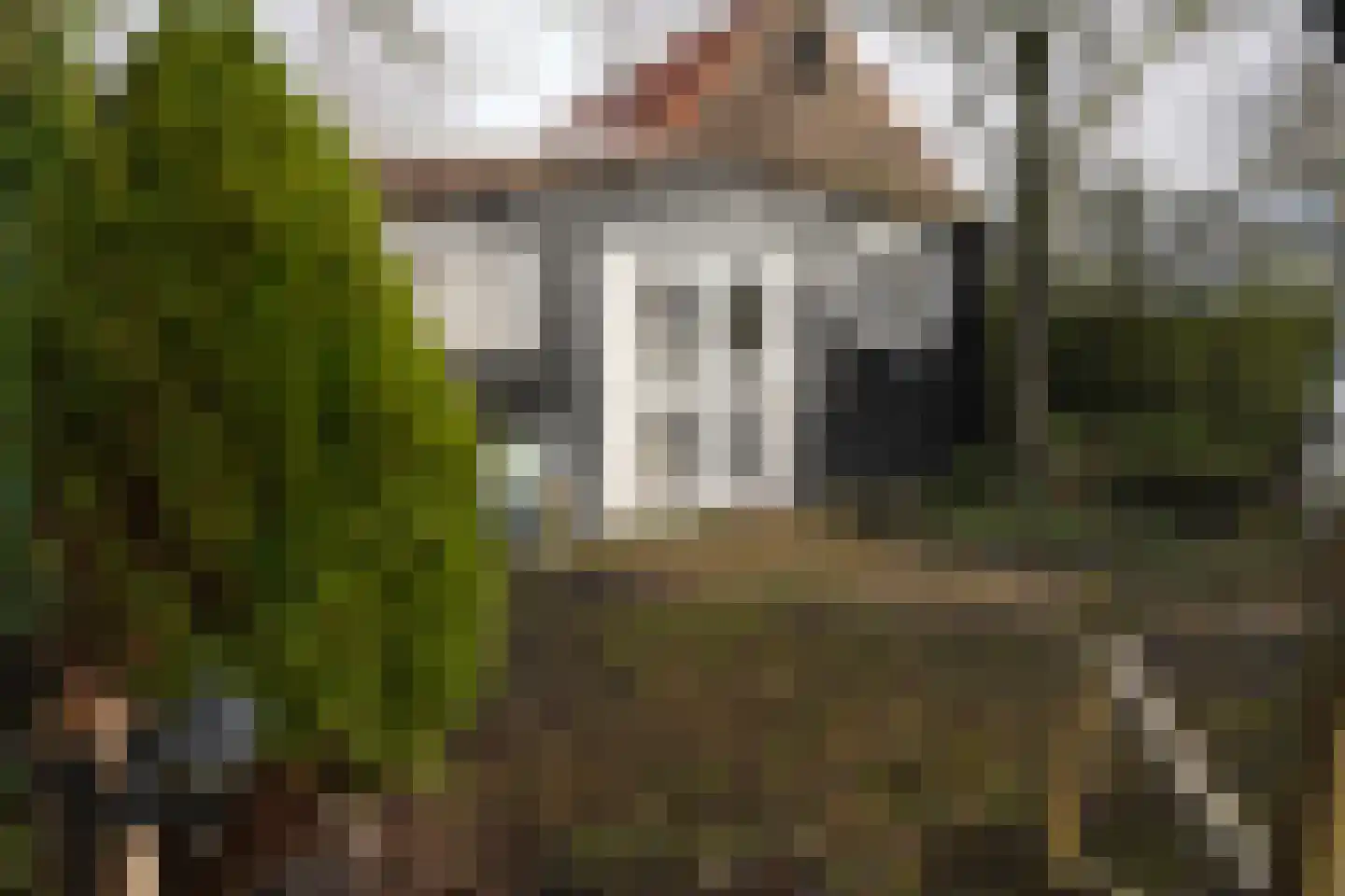 Oranjedijk 25 IJzendijke thumbnail 35
