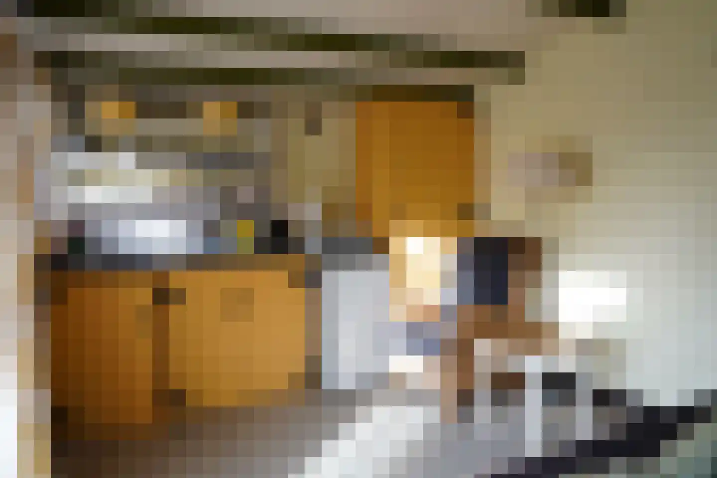 Oranjedijk 25 IJzendijke thumbnail 36