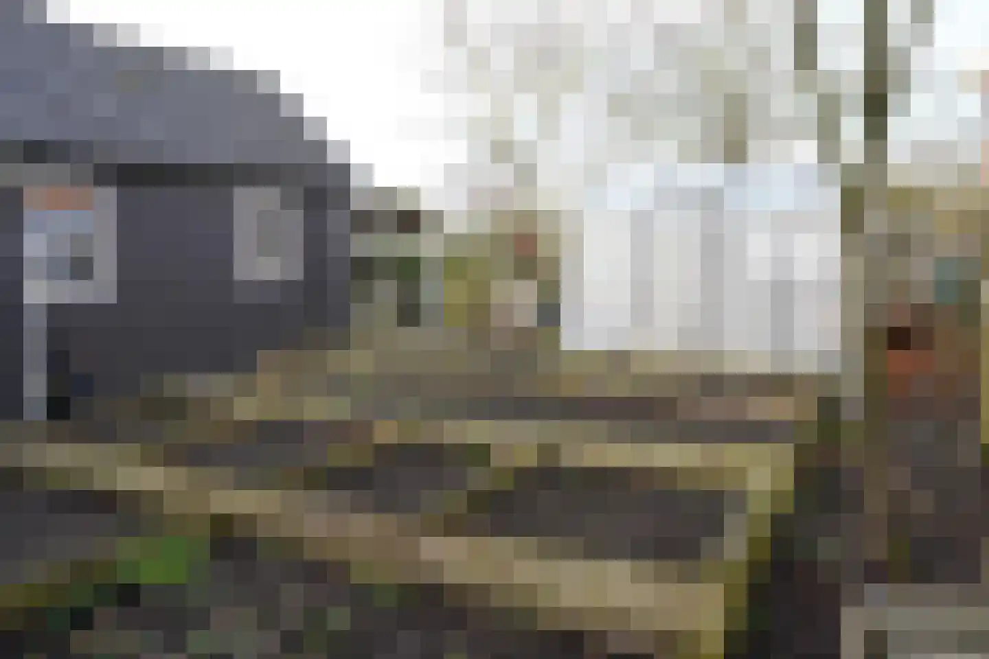Oranjedijk 25 IJzendijke thumbnail 39