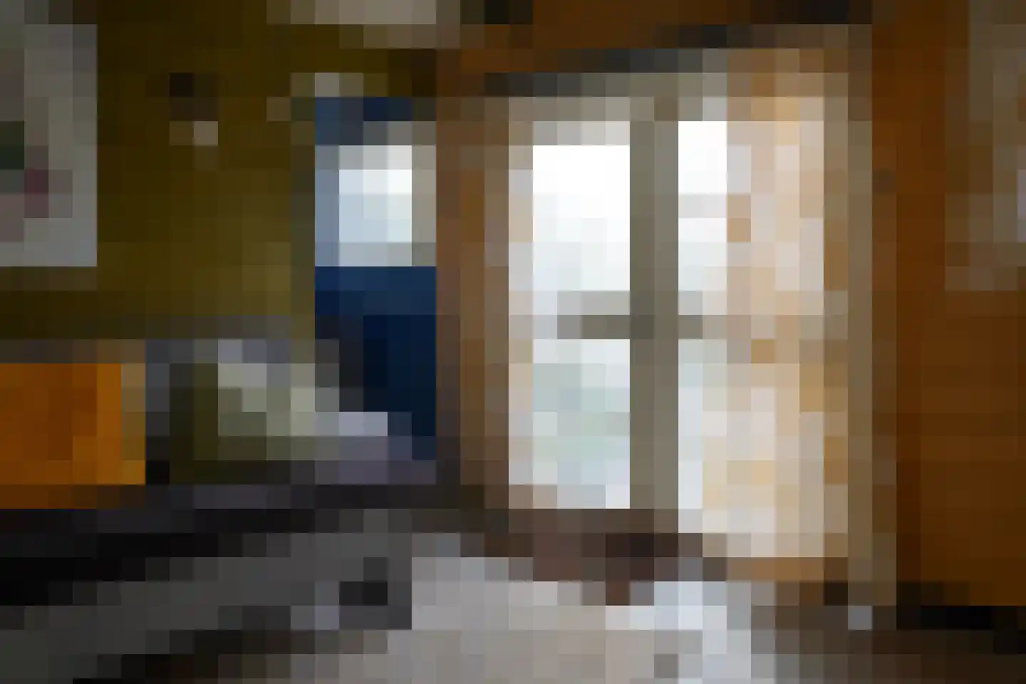 Oranjedijk 25 IJzendijke thumbnail 39