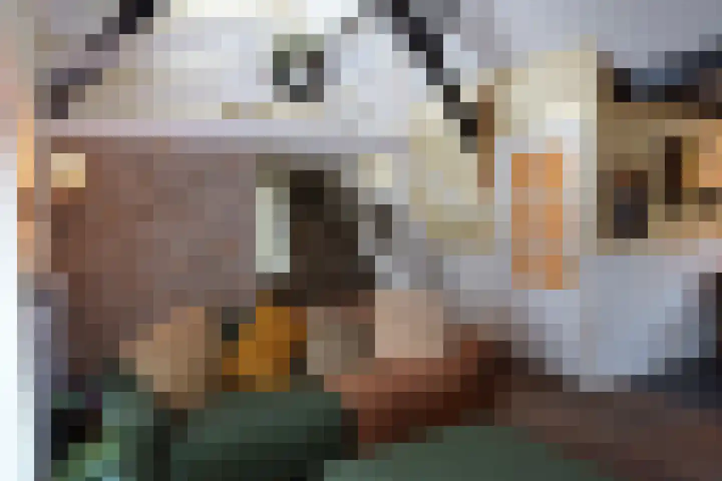 Oranjedijk 25 IJzendijke thumbnail 4