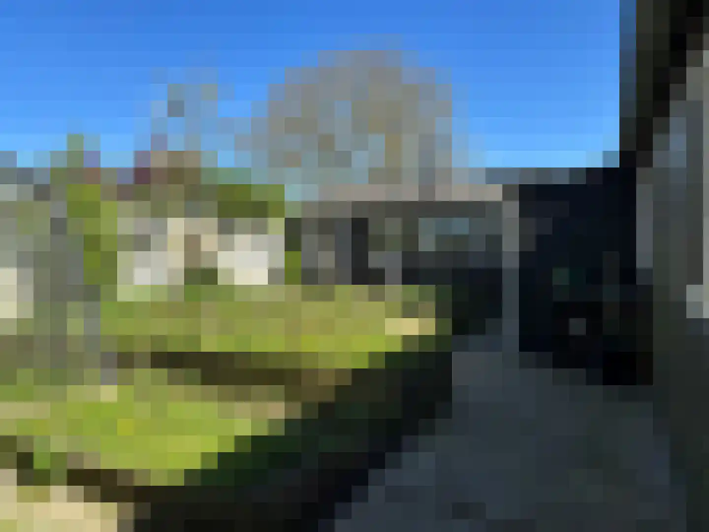 Oranjedijk 25 IJzendijke thumbnail 40