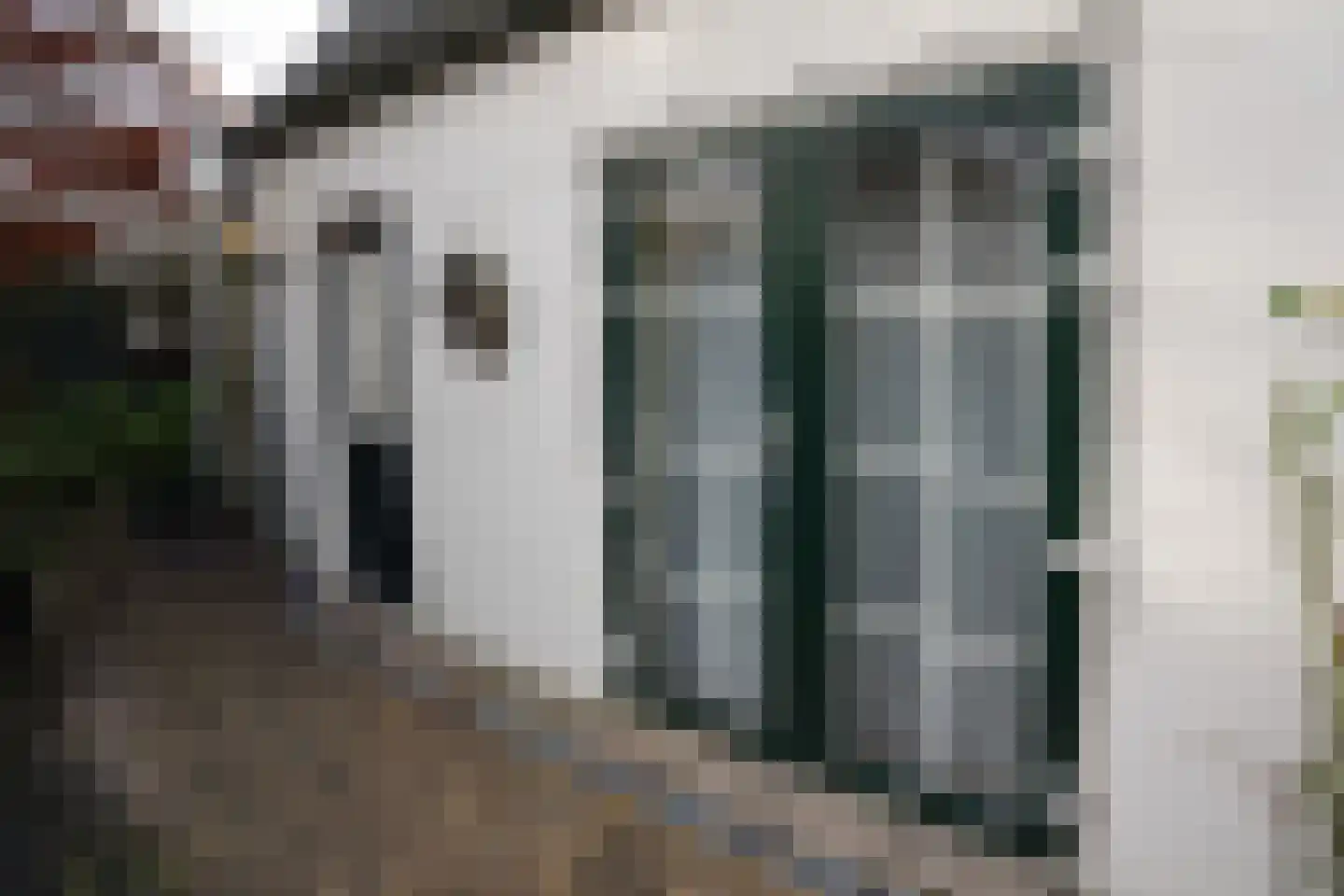 Oranjedijk 25 IJzendijke thumbnail 43