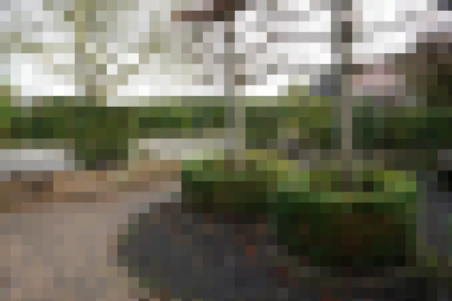 Oranjedijk 25 IJzendijke thumbnail 44
