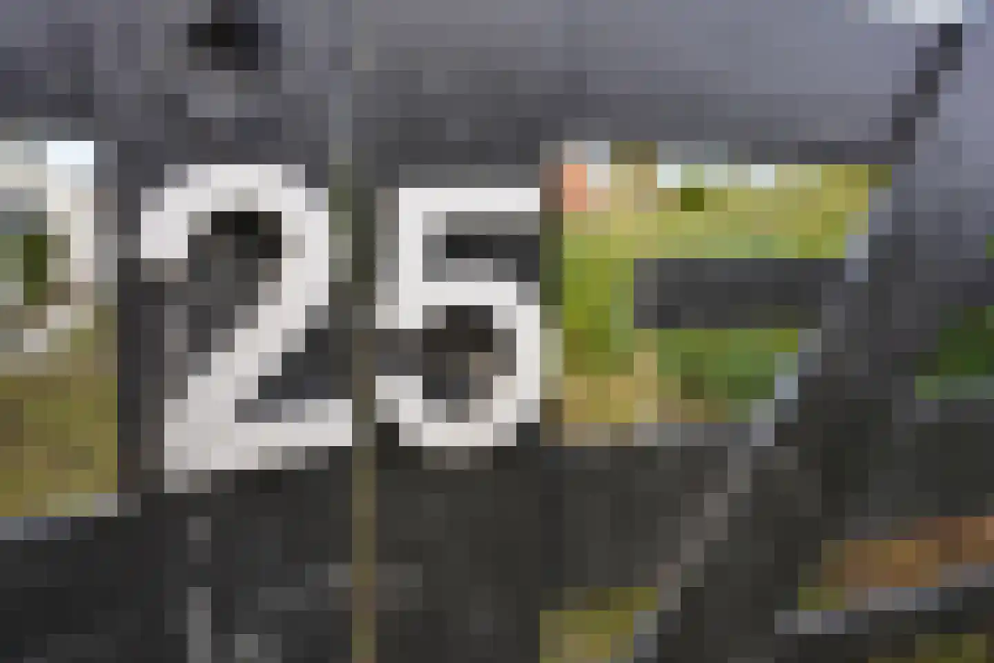 Oranjedijk 25 IJzendijke thumbnail 45
