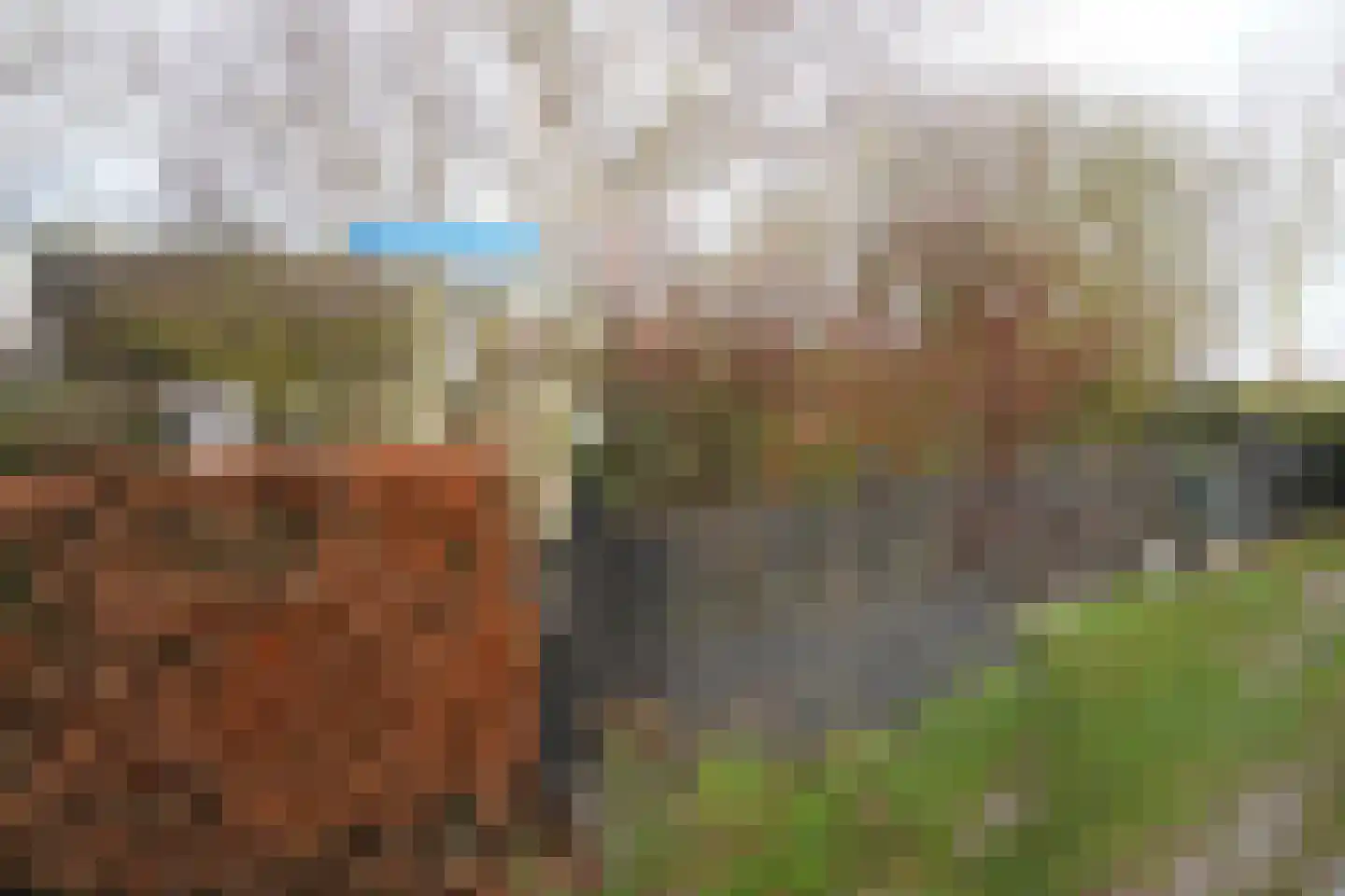 Oranjedijk 25 IJzendijke thumbnail 46