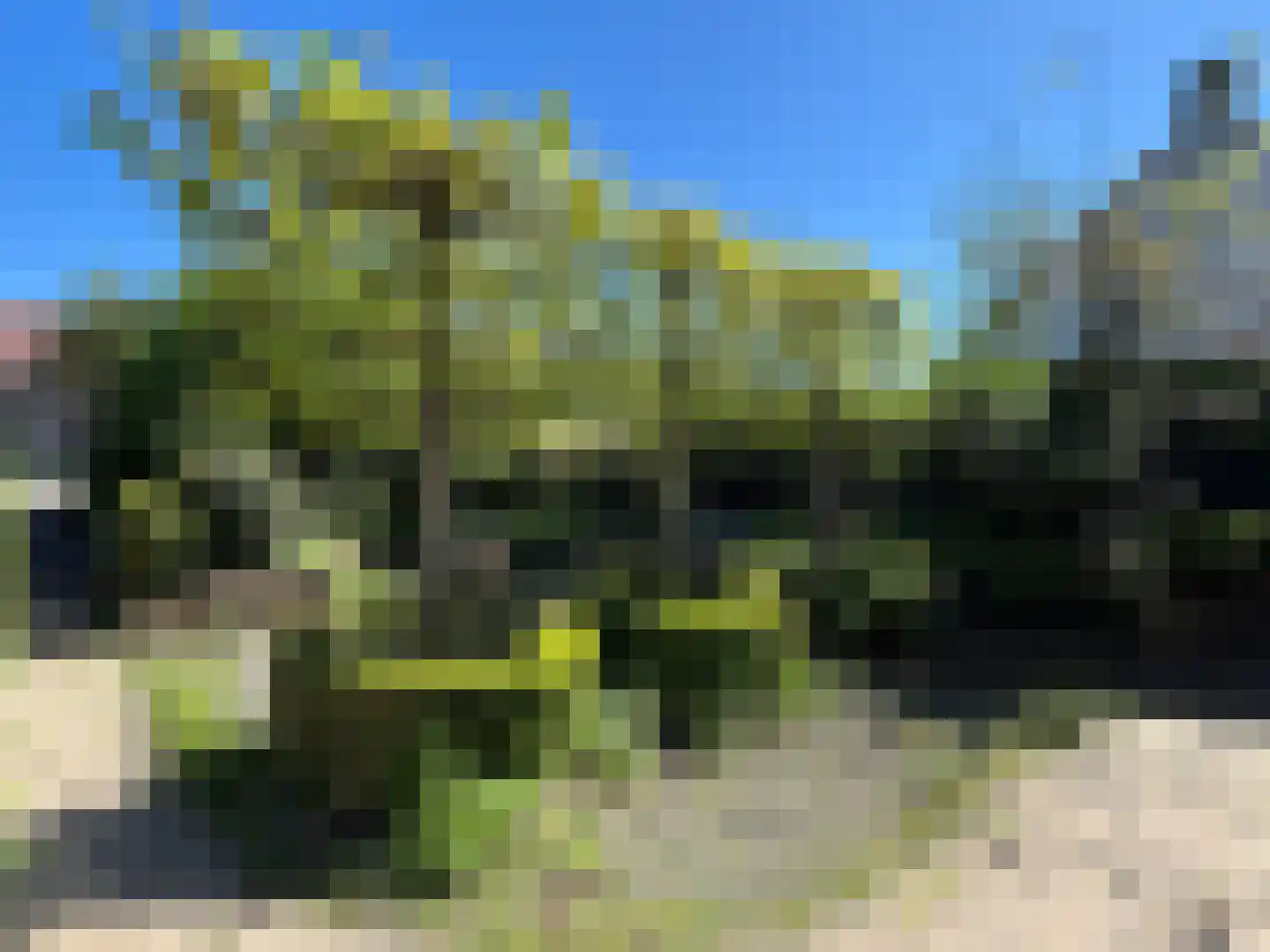 Oranjedijk 25 IJzendijke thumbnail 46