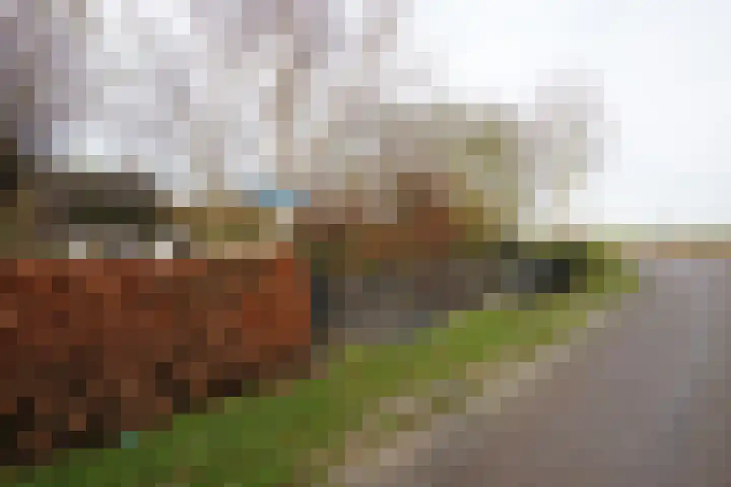 Oranjedijk 25 IJzendijke thumbnail 47