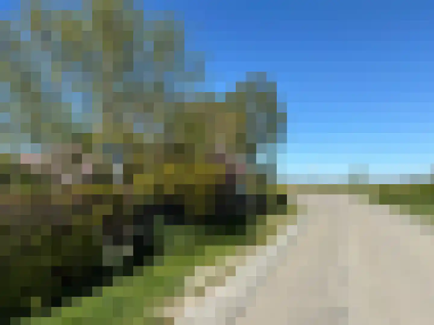 Oranjedijk 25 IJzendijke thumbnail 47