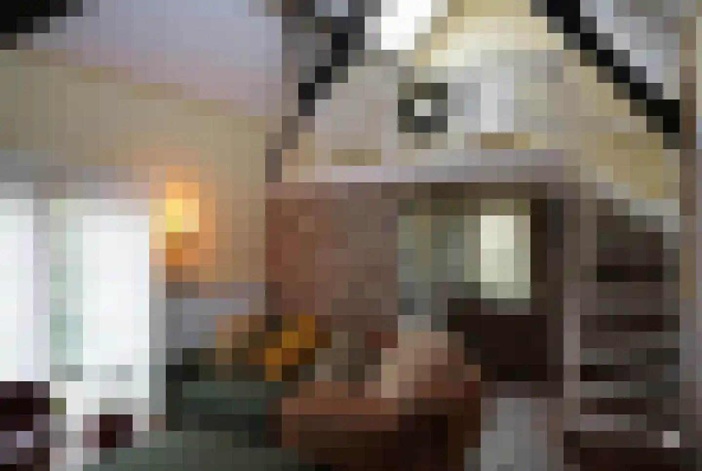 Oranjedijk 25 IJzendijke thumbnail 5