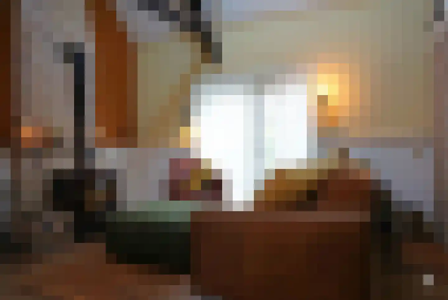 Oranjedijk 25 IJzendijke thumbnail 6