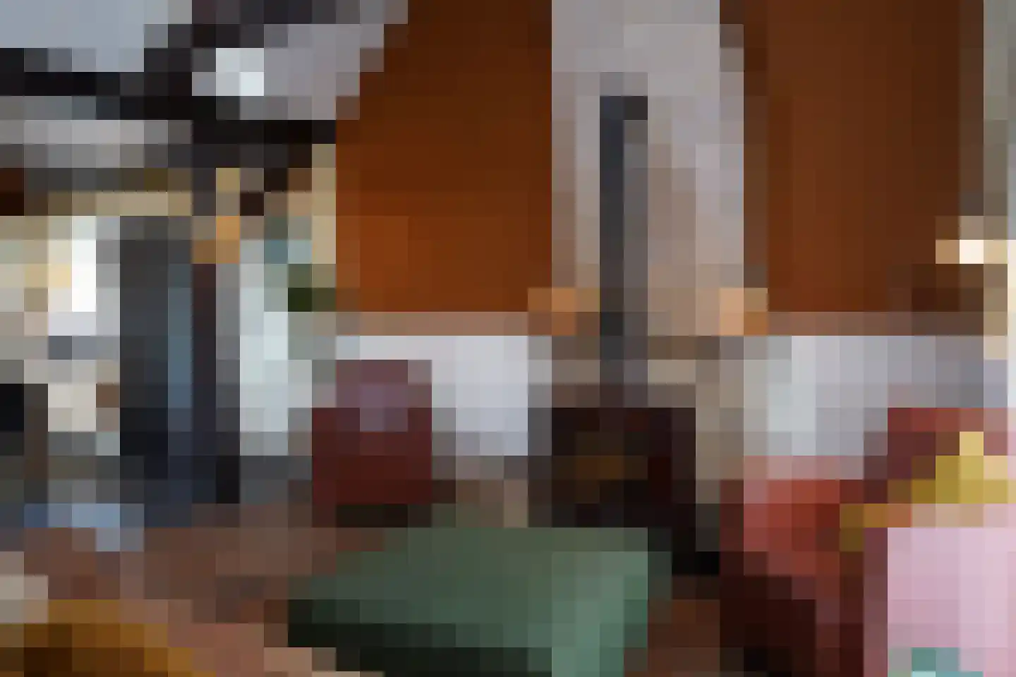 Oranjedijk 25 IJzendijke thumbnail 8