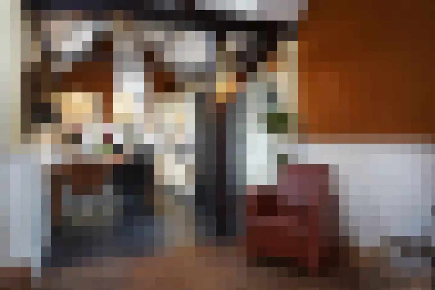 Oranjedijk 25 IJzendijke thumbnail 9