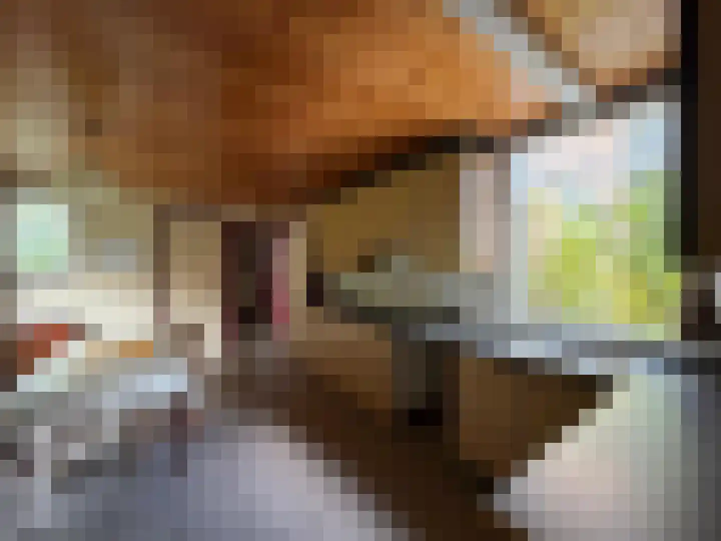 Oranjedijk 29 IJzendijke thumbnail 11