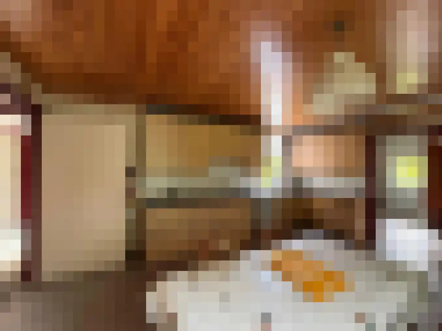 Oranjedijk 29 IJzendijke thumbnail 12