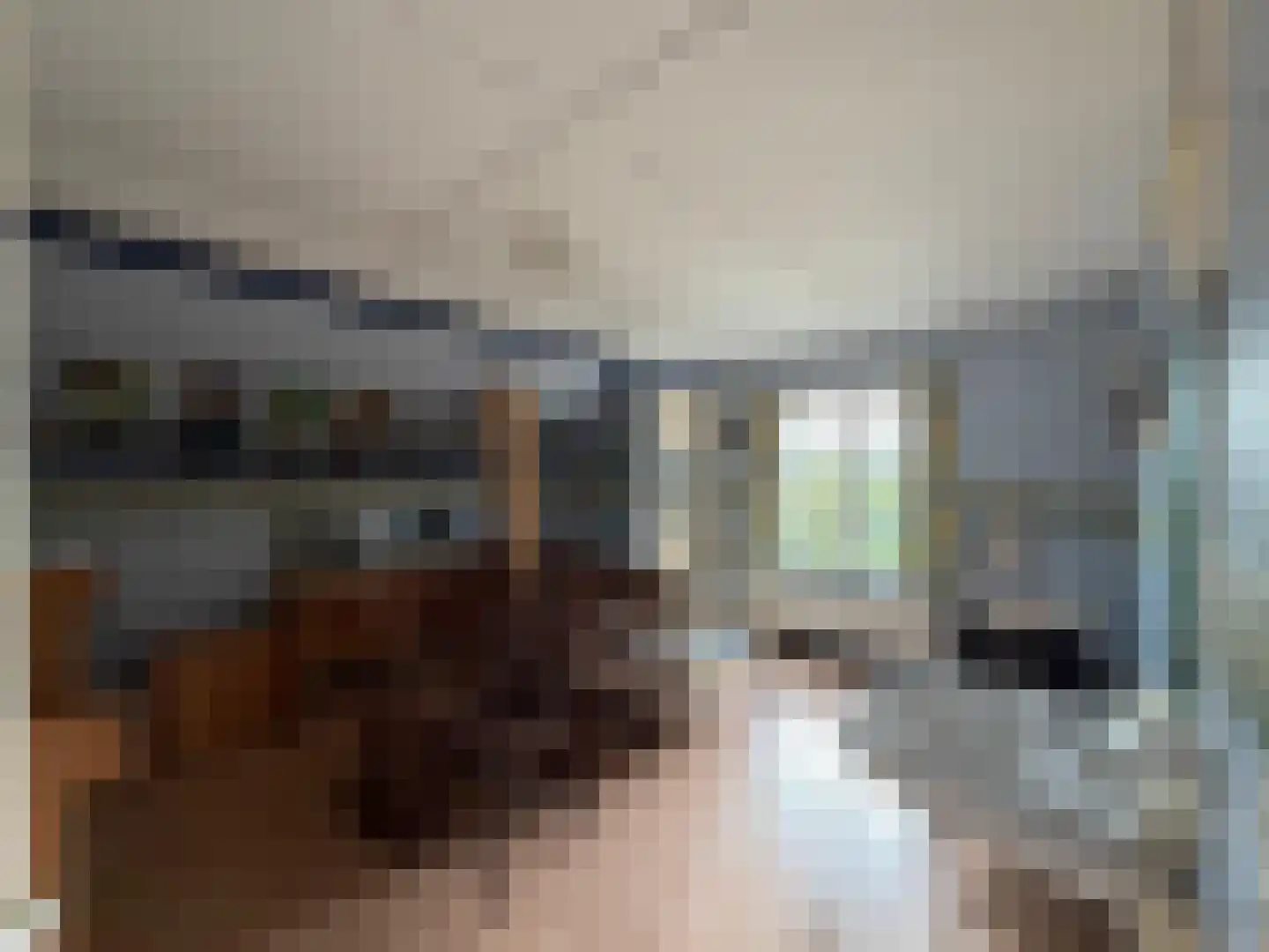 Oranjedijk 29 IJzendijke thumbnail 16