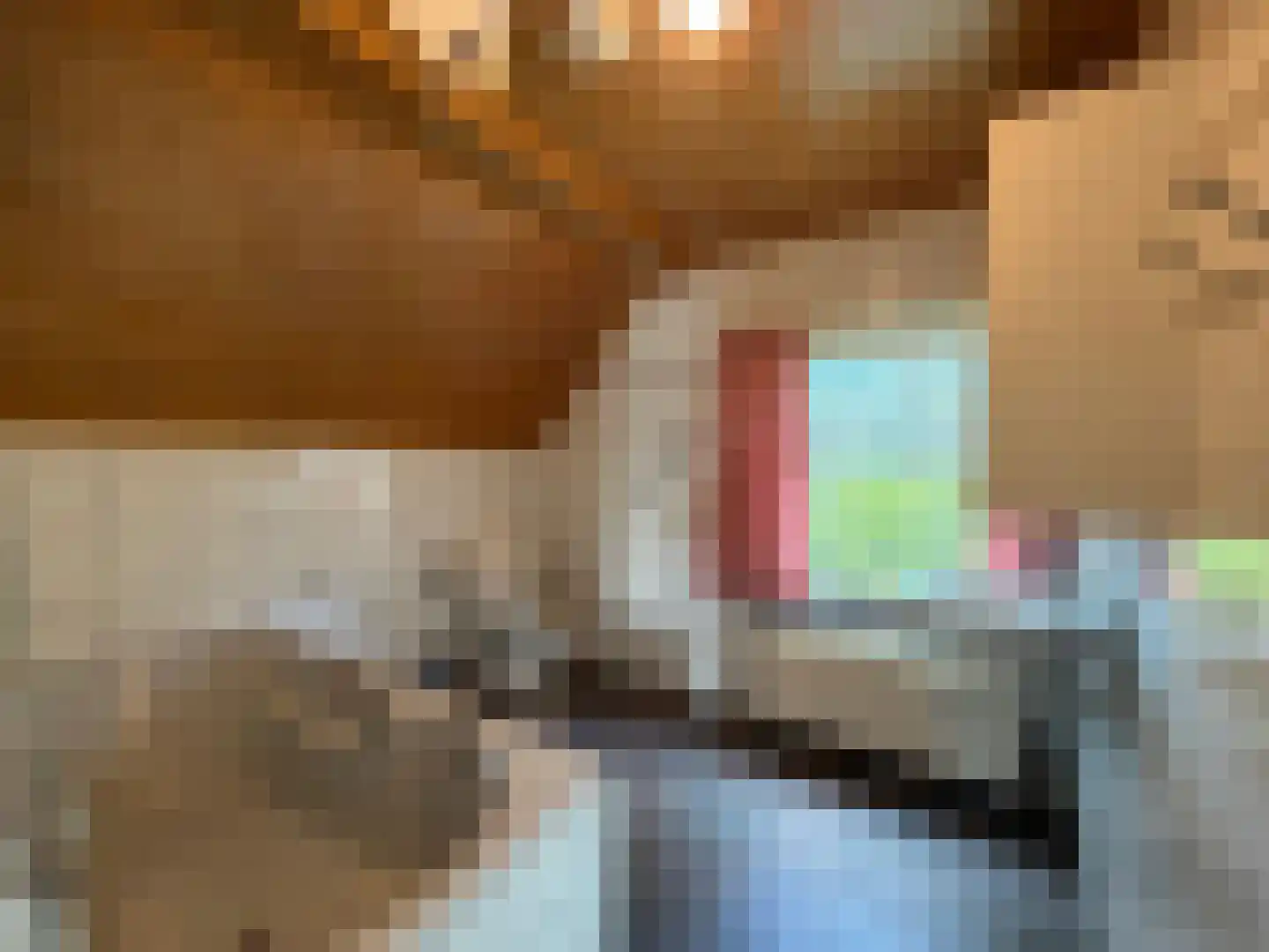 Oranjedijk 29 IJzendijke thumbnail 18