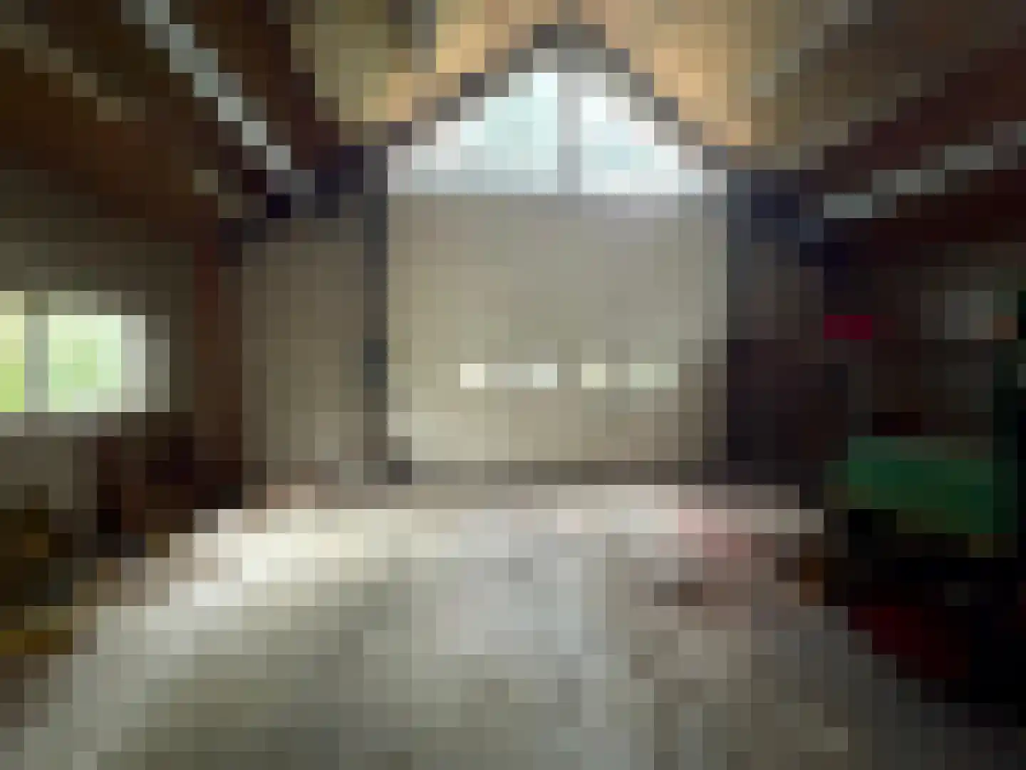 Oranjedijk 29 IJzendijke thumbnail 24