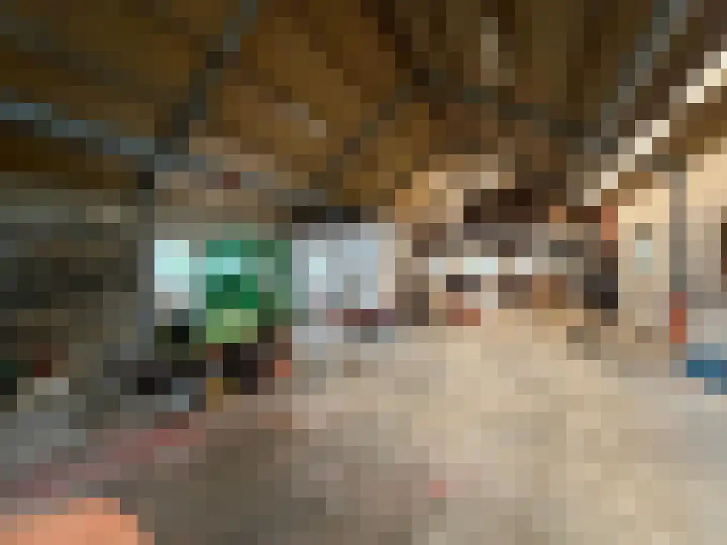 Oranjedijk 29 IJzendijke thumbnail 27