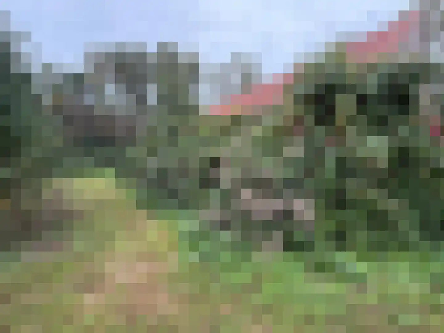 Oranjedijk 29 IJzendijke thumbnail 31