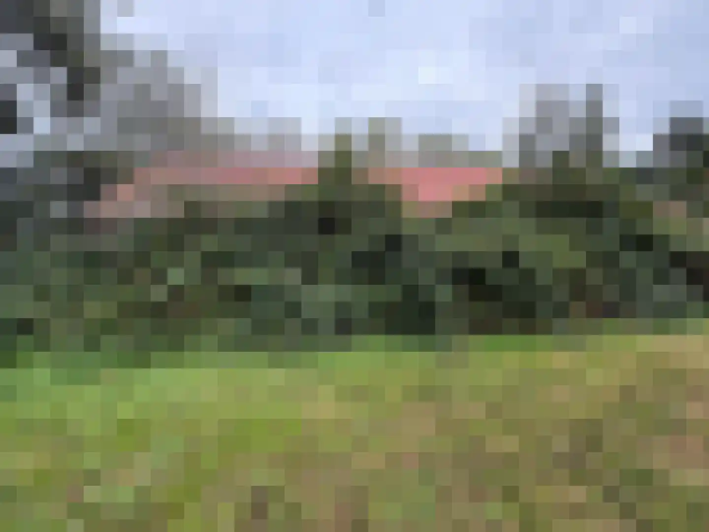Oranjedijk 29 IJzendijke thumbnail 32