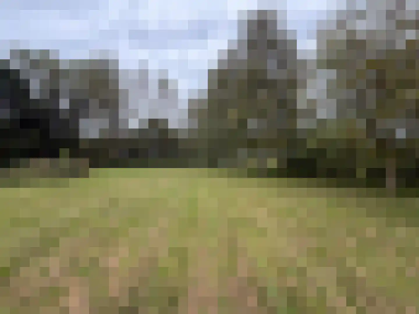 Oranjedijk 29 IJzendijke thumbnail 33