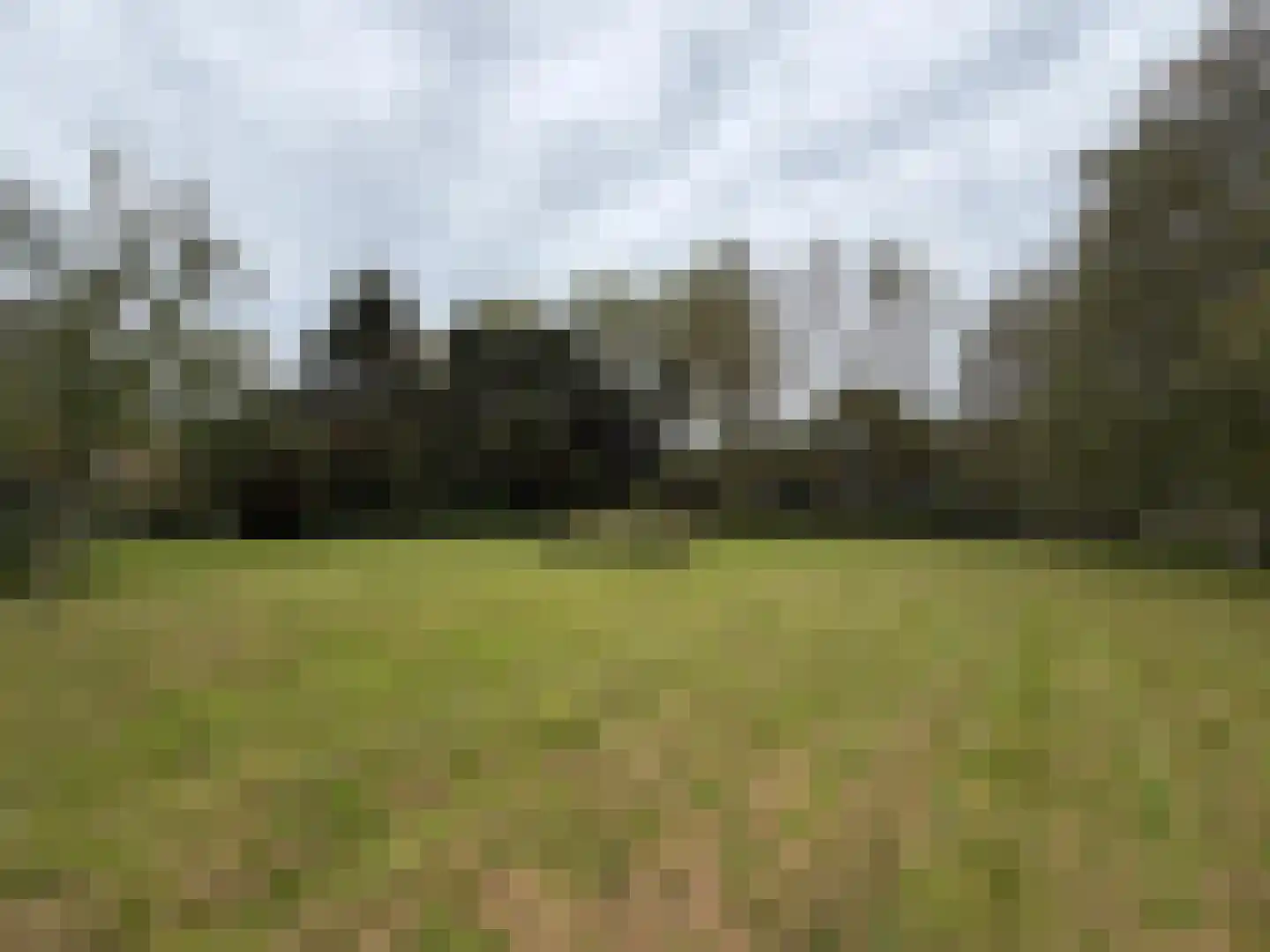 Oranjedijk 29 IJzendijke thumbnail 34