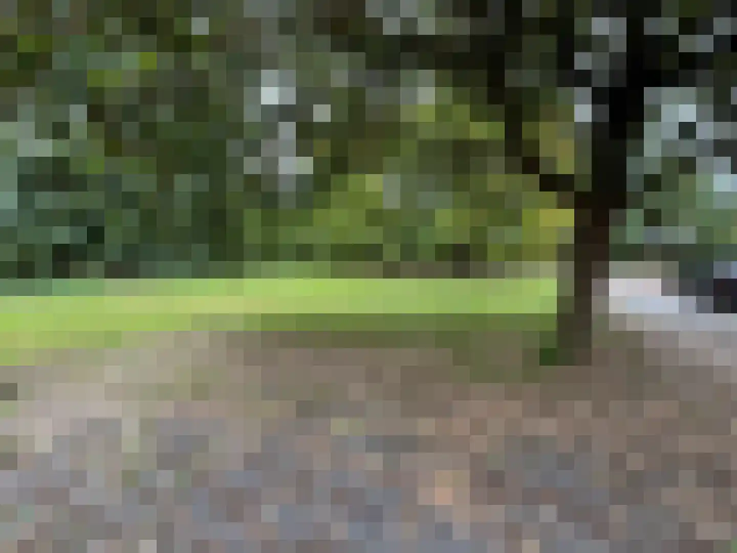 Oranjedijk 29 IJzendijke thumbnail 35
