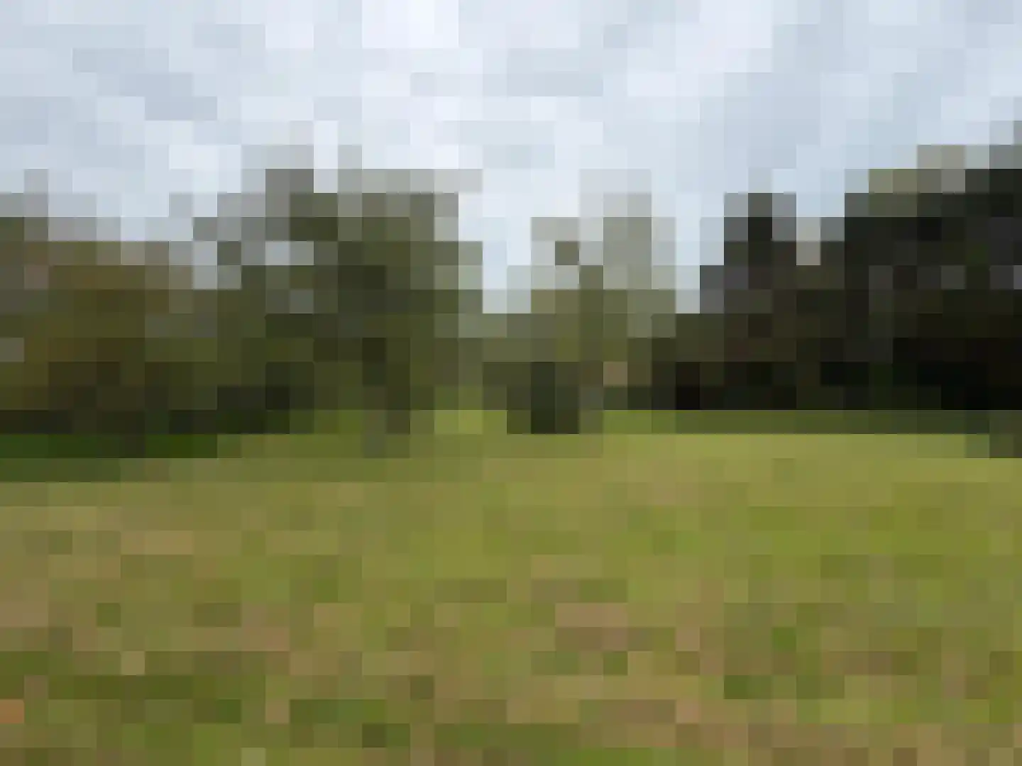 Oranjedijk 29 IJzendijke thumbnail 36