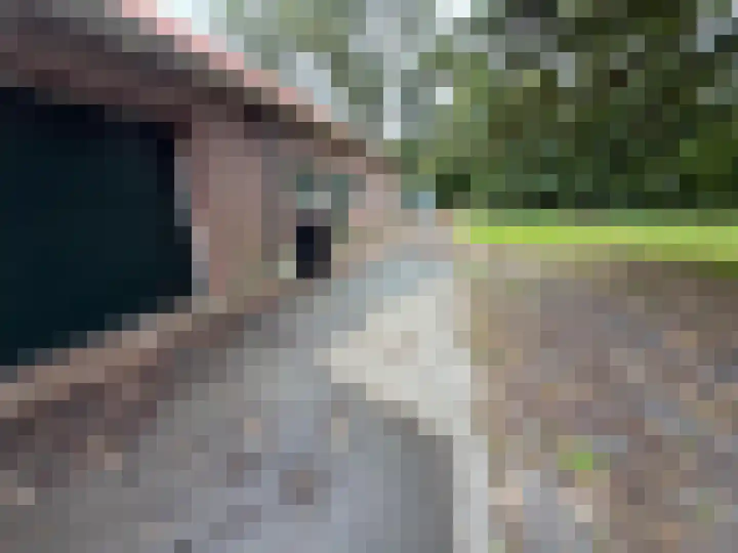 Oranjedijk 29 IJzendijke thumbnail 4