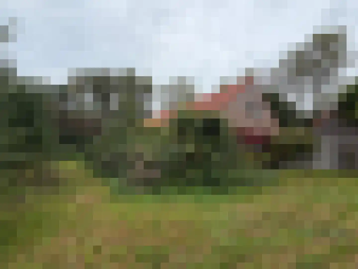 Oranjedijk 29 IJzendijke thumbnail 6