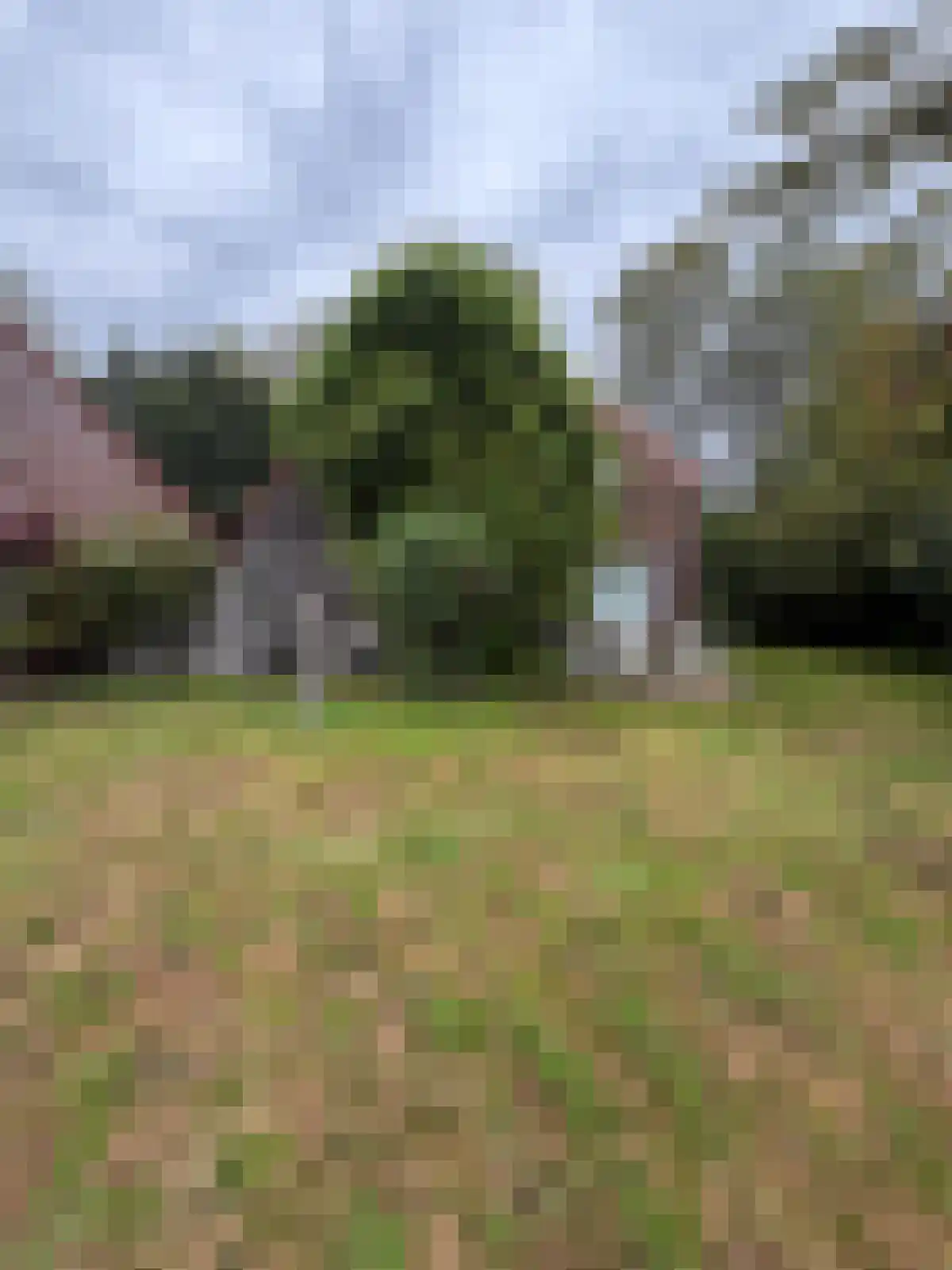 Oranjedijk 29 IJzendijke thumbnail 7