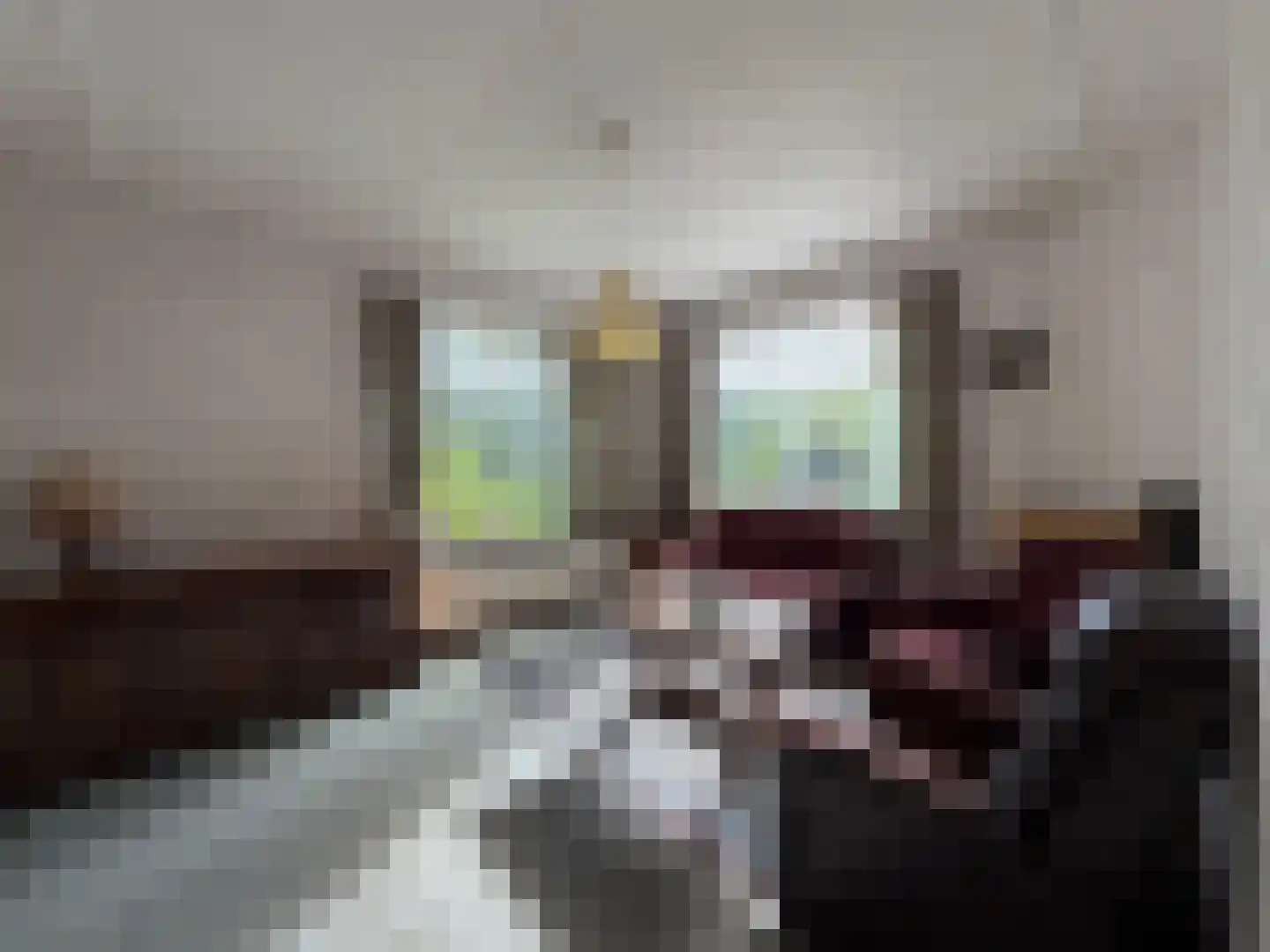 Oranjedijk 29 IJzendijke thumbnail 8