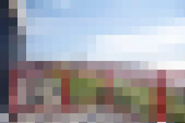Oranjedijk 56 Vlissingen thumbnail 8