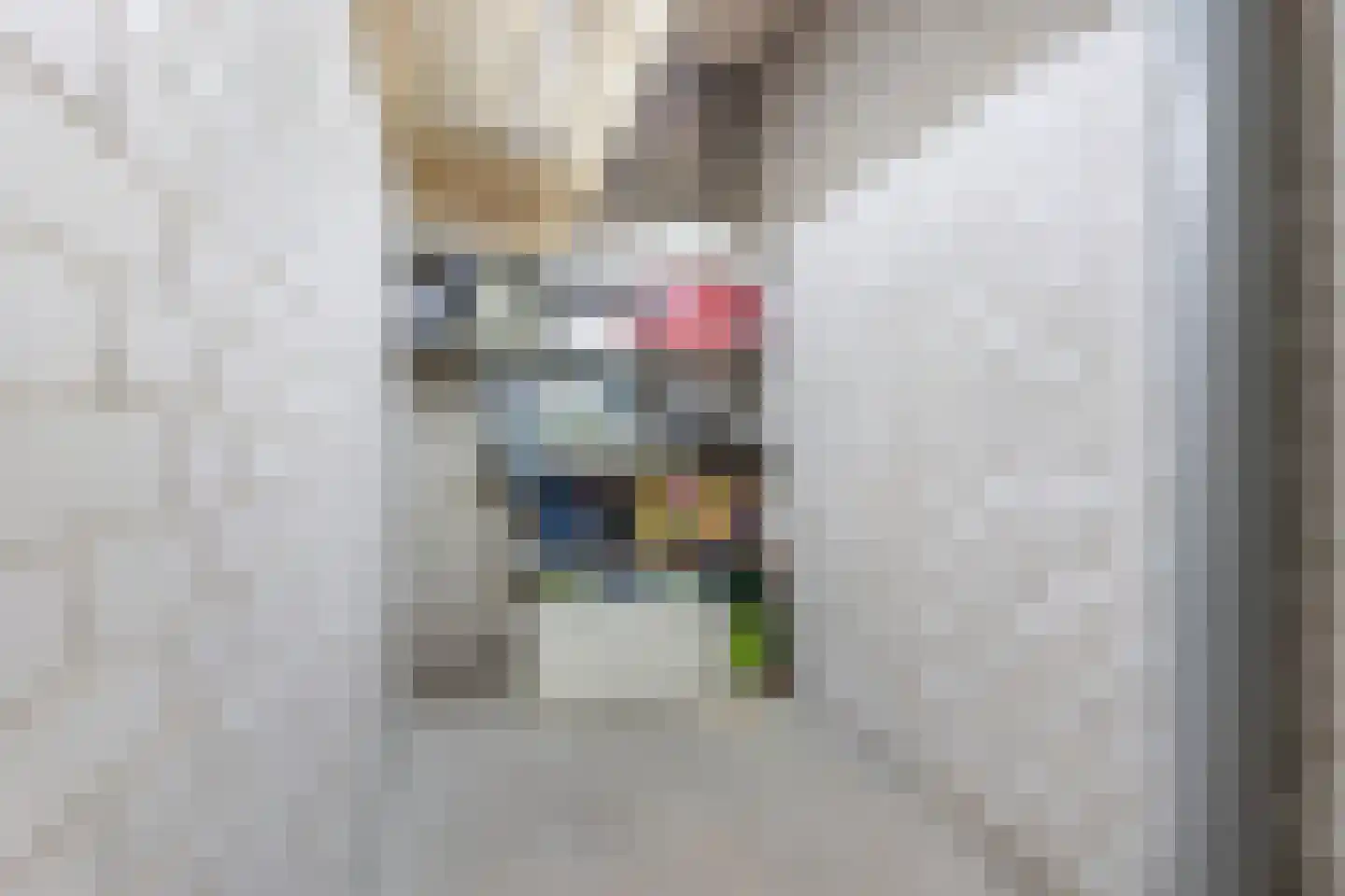 Oranjedijk 8 Vlissingen thumbnail 39