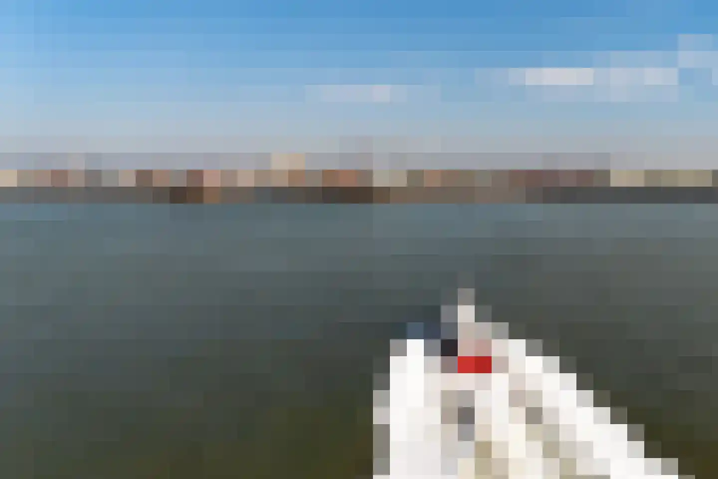 Oranjedijk 8 Vlissingen thumbnail 44