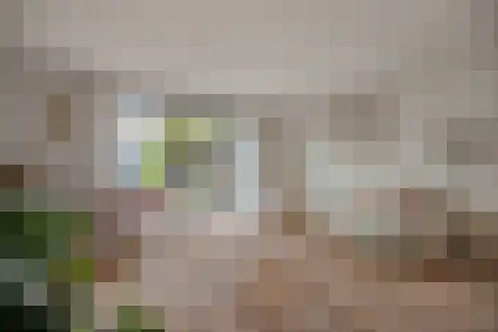 Oranjefontein 32 Purmerend thumbnail 14