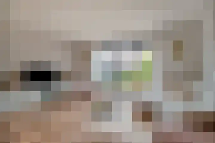 Oranjefontein 32 Purmerend thumbnail 16