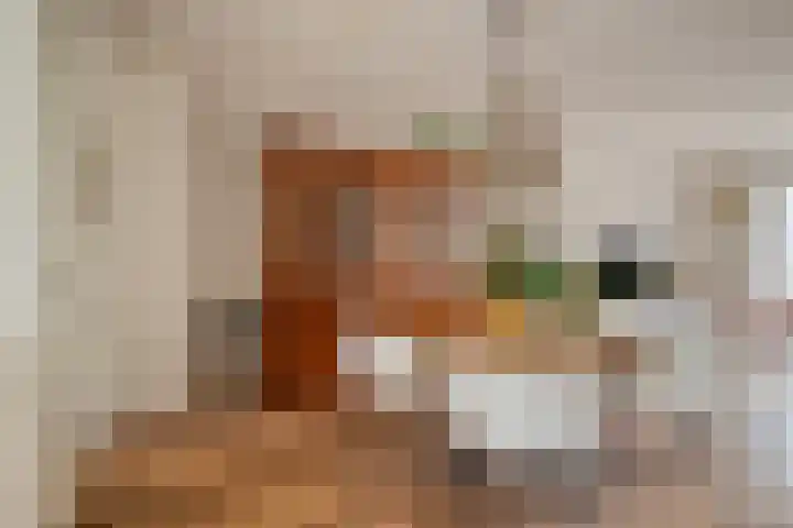 Oranjefontein 32 Purmerend thumbnail 19