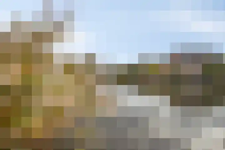 Oranjefontein 32 Purmerend thumbnail 48