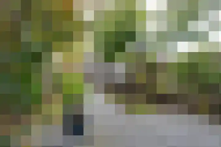 Oranjefontein 40 Purmerend thumbnail 32