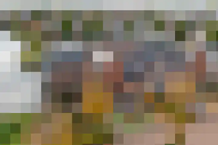 Oranjefontein 40 Purmerend thumbnail 8