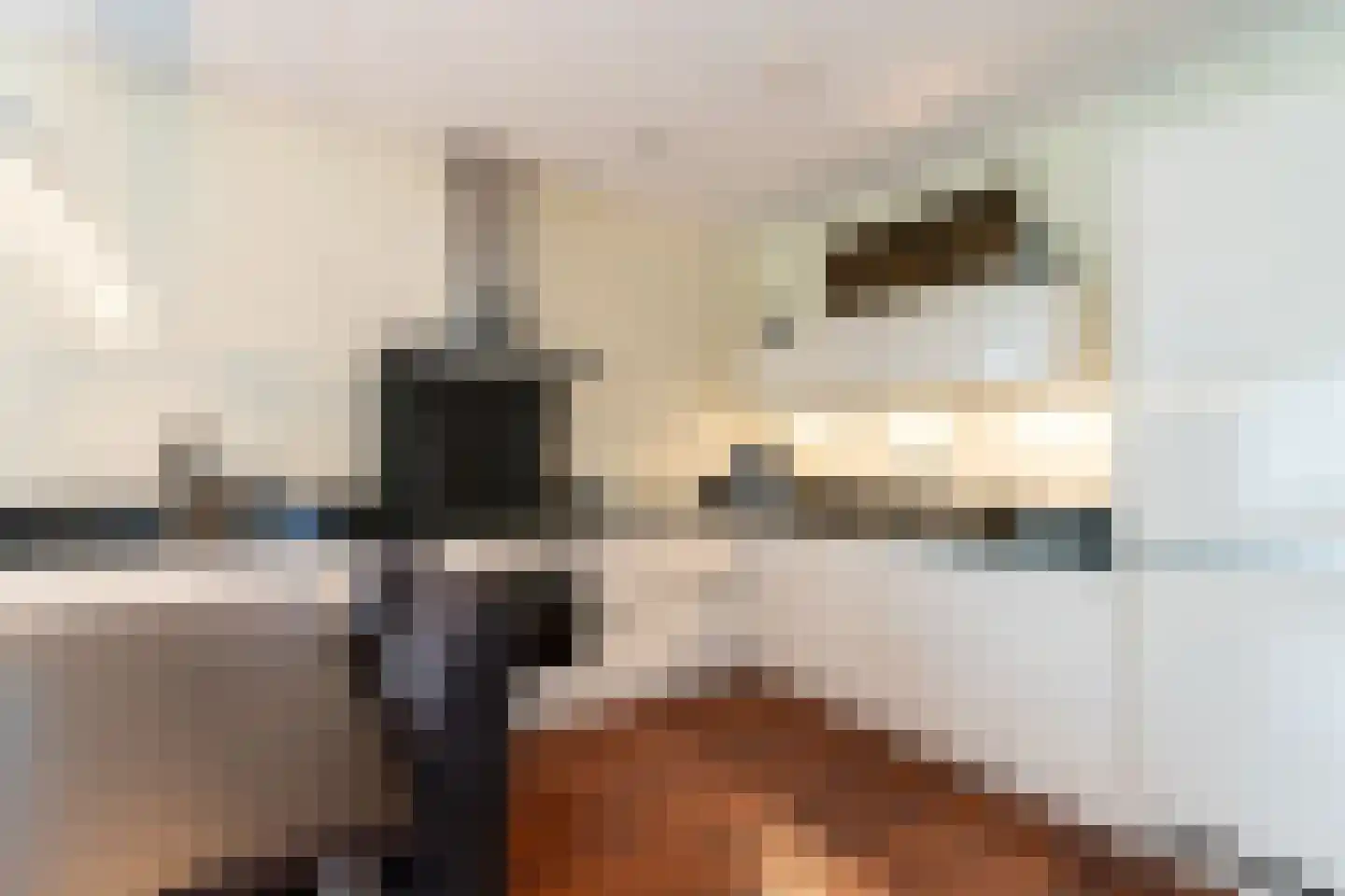 Oranjehof 1 Sliedrecht thumbnail 14