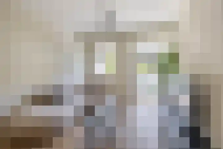 Oranjehof 10 Lisse thumbnail 10