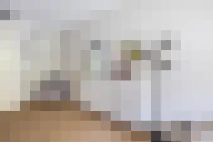 Oranjehof 10 Lisse thumbnail 13