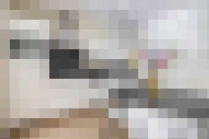 Oranjehof 10 Lisse thumbnail 16