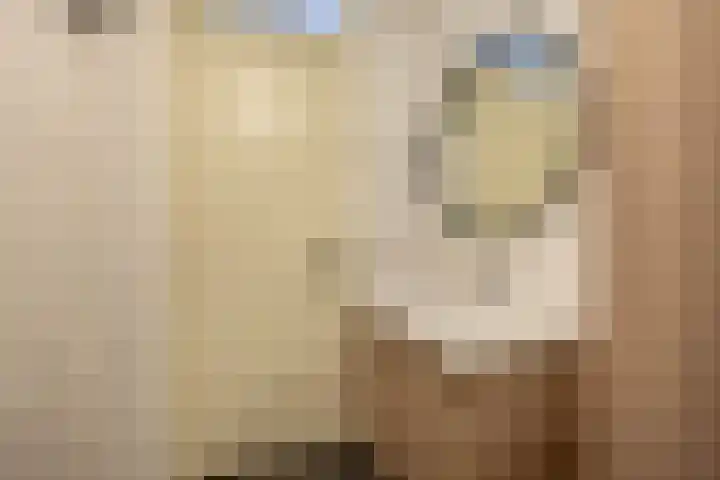Oranjehof 10 Lisse thumbnail 23